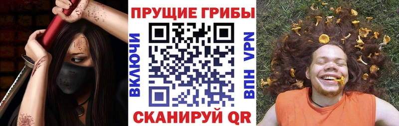 Купить где  Новомичуринск  Галлюциногенные грибы Psilocybe 