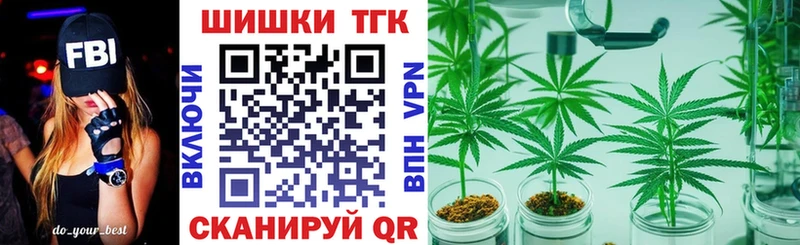 Купить закладки  Новомичуринск  Бошки марихуана семена 